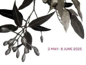 Tale of Two Trees solo exhibition by Elizabeth Edmonds, poster, Painted Tree gallery, Northcliffe 20205