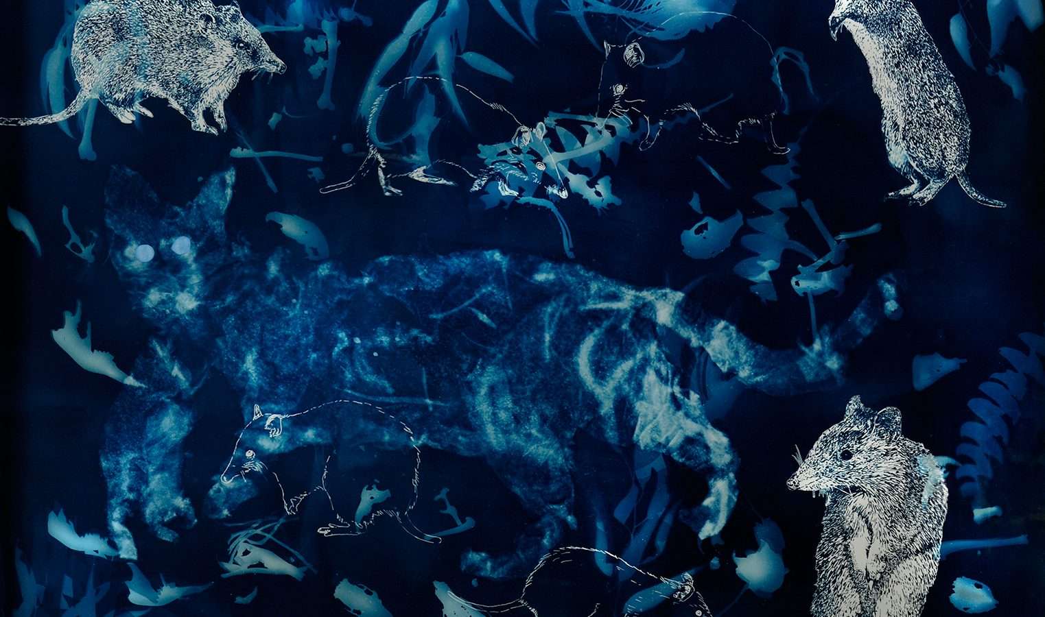 Phillips Perdita 05 Natura Autem Vivit-Sed Occisio de Felibus 2019 cyanotype 114 152 2.5 cm